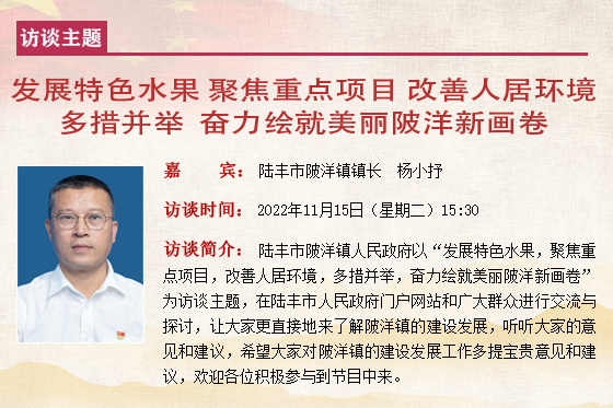 陸豐市陂洋鎮(zhèn)鎮(zhèn)長(zhǎng) 楊小抒.jpg