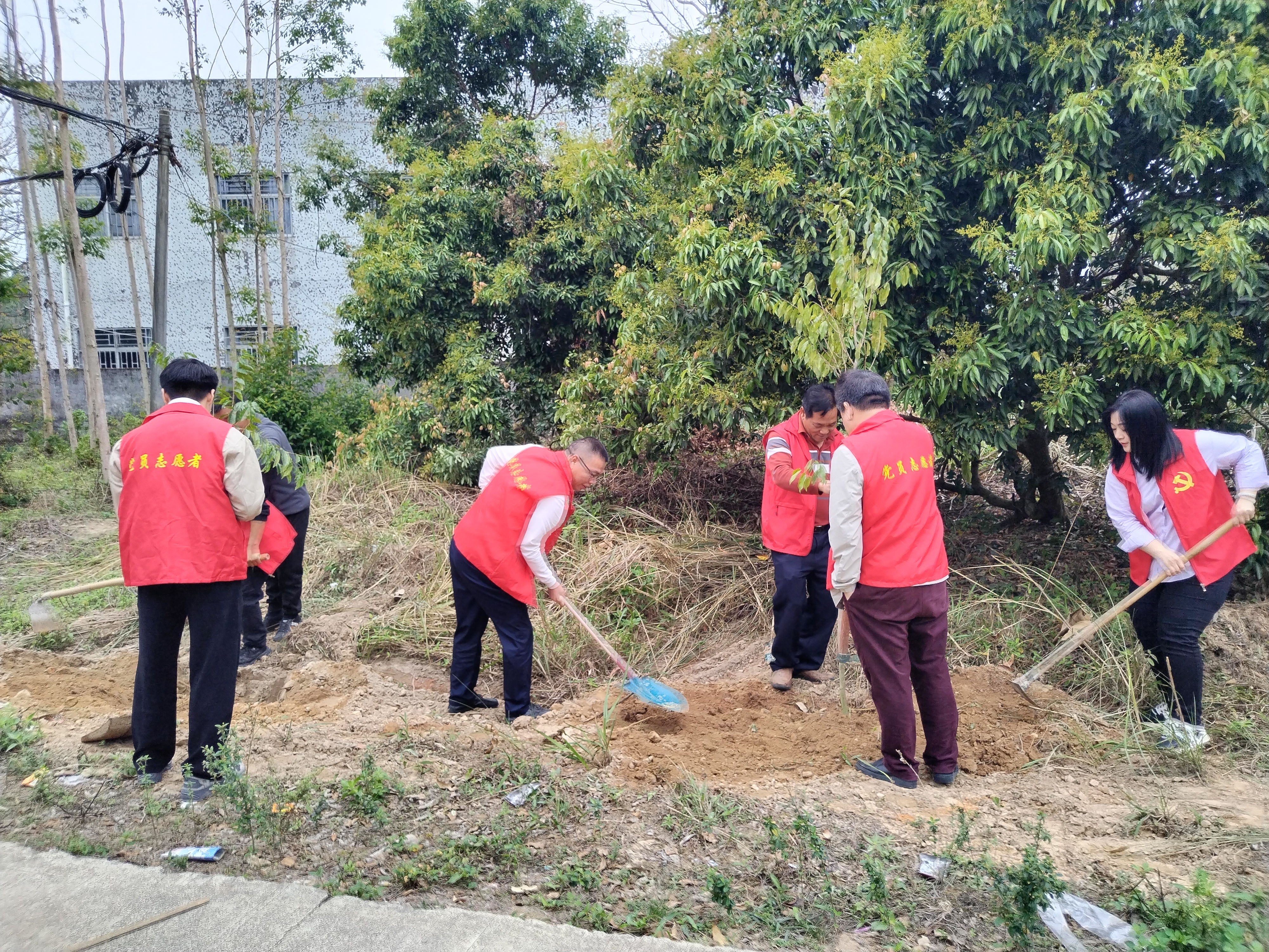 民政簡報〔2025〕第7期 市民政局開展黨建結對共建“愛綠植綠護綠興綠”主題黨日植樹活動(1).doc_10