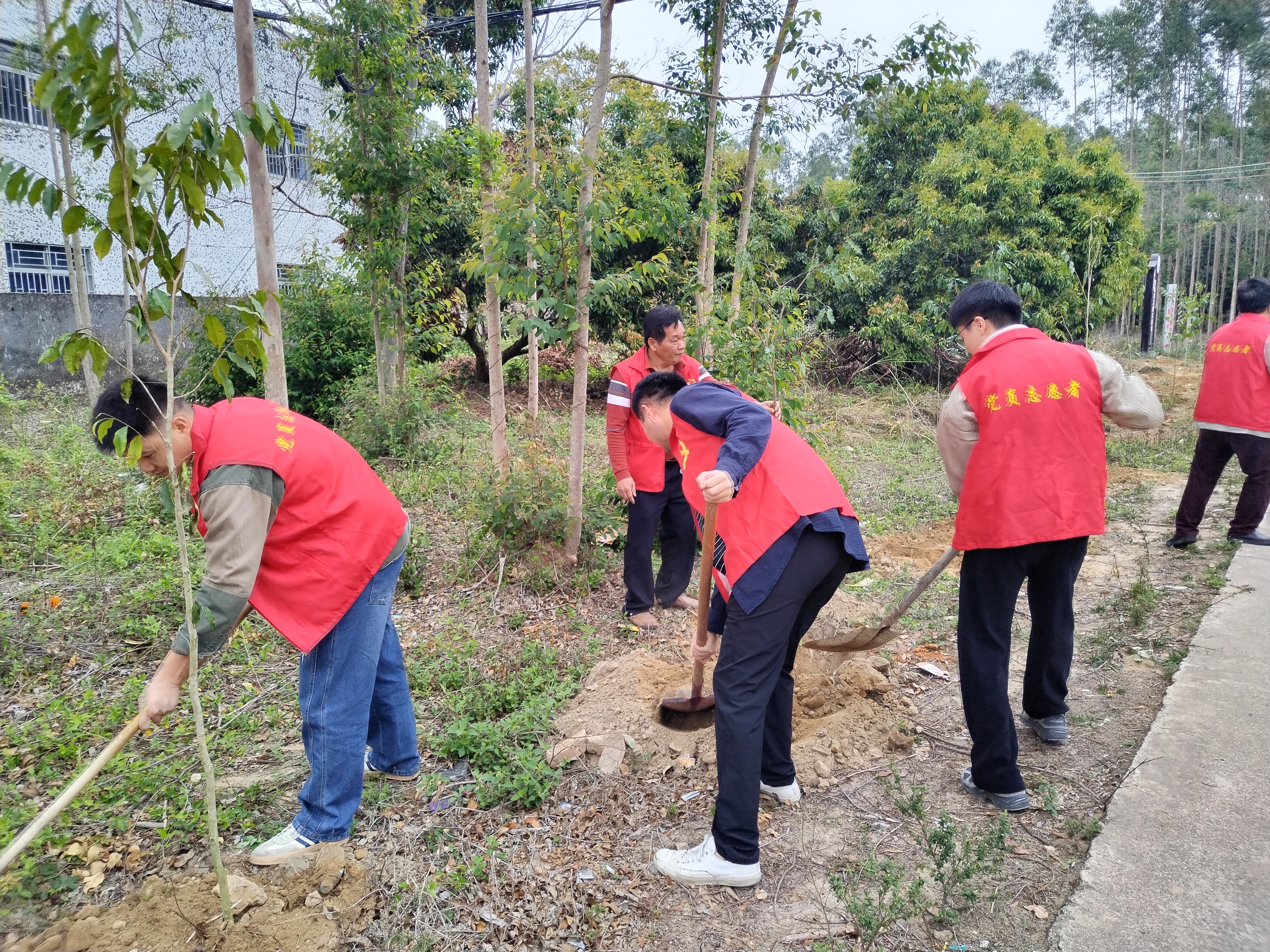 民政簡報〔2025〕第7期 市民政局開展黨建結對共建“愛綠植綠護綠興綠”主題黨日植樹活動(1).doc_11