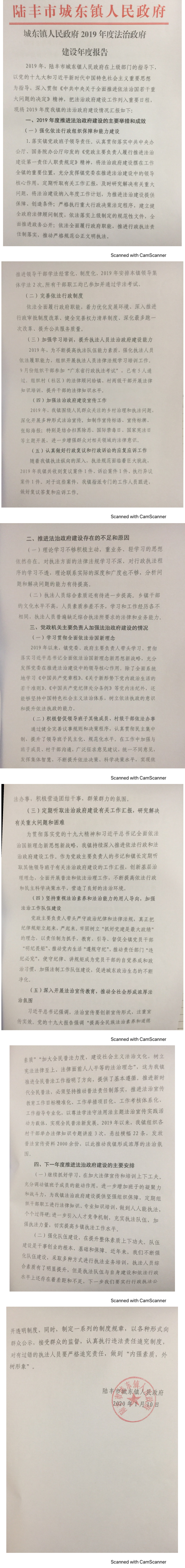 城東鎮(zhèn)人民政府2019年度法治政府建設(shè)年度報告_0.png